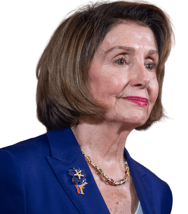 N. Pelosi bought TEM